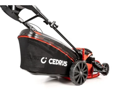 Cedrus KS48S – Image 6