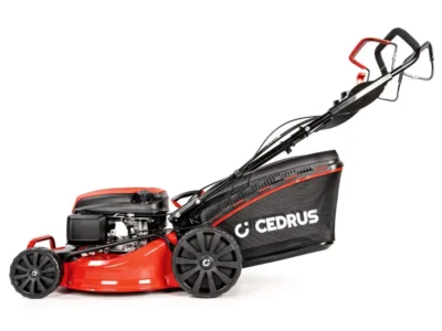 Cedrus KS48S – Image 10