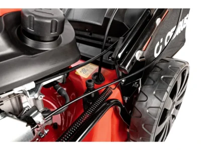 Cedrus KS48S – Image 13