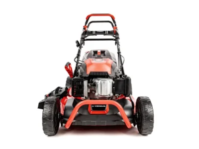 Cedrus KS53SV-E – Image 4