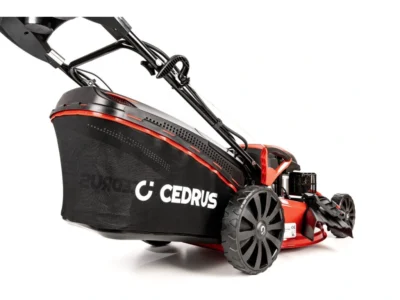 Cedrus KS53SV-E – Image 9