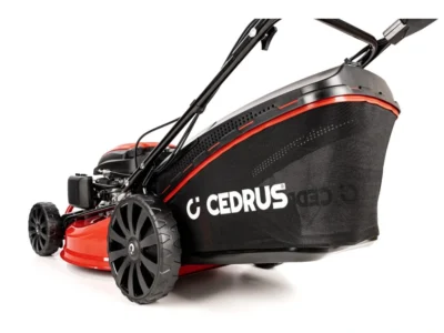 Cedrus KS53SV-E – Image 13