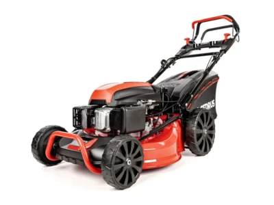 Cedrus KS53SV-E – Image 2