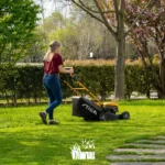 Akku-Rasenmäher Collector 48 S AE Kit – Image 8